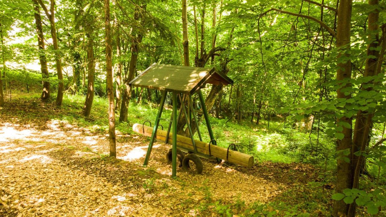 シュトレ  Adventure Farm Bed & Breakfast エクステリア 写真